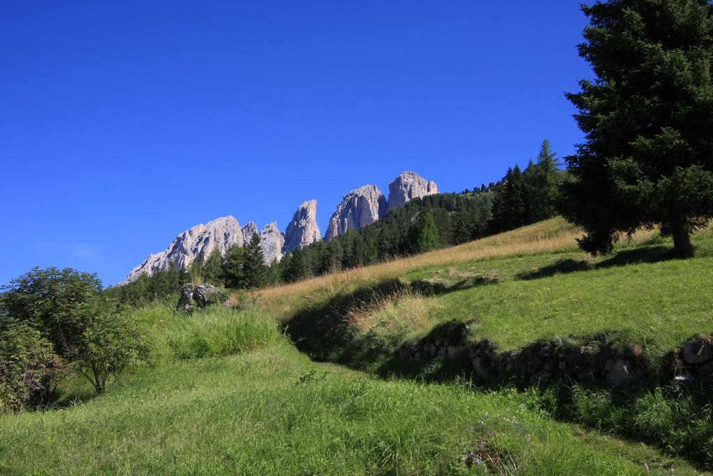 Chalet Pian Campitello di Fassa Exterior photo